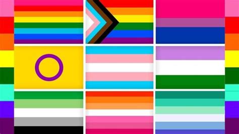 Banderas LGBTIQA+: colores y significados que debes conocer